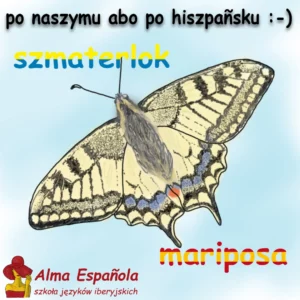 hiszpański Katowice - szmatelock