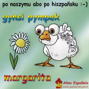 gynsi pympek - nauka hiszpańskiego
